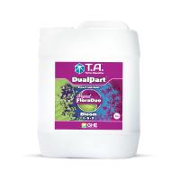 DualPart Bloom T.A. (Flora Duo Bloom) 5 L